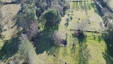 Terreno Rústico com 9400m2 sito em Águas, Penamacor.