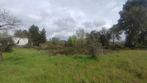 Terreno Rústico com 9400m2 sito em Águas, Penamacor.