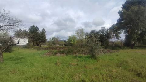 Terreno Rústico com 9400m2 sito em Águas, Penamacor.