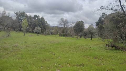 Terreno Rústico com 9400m2 sito em Águas, Penamacor.