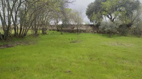 Terreno Rústico com 9400m2 sito em Águas, Penamacor.
