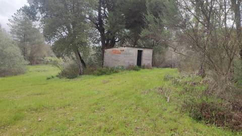 Terreno Rústico com 9400m2 sito em Águas, Penamacor.