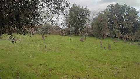 Terreno Rústico com 9400m2 sito em Águas, Penamacor.
