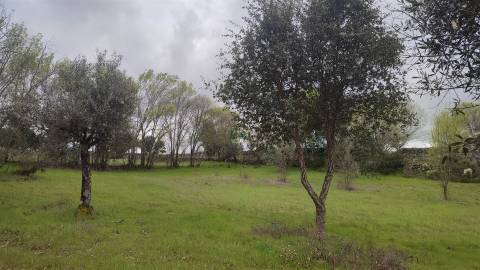Terreno Rústico com 9400m2 sito em Águas, Penamacor.