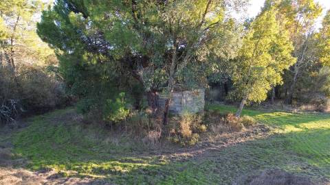 Terreno Rústico com 9400m2 sito em Águas, Penamacor.