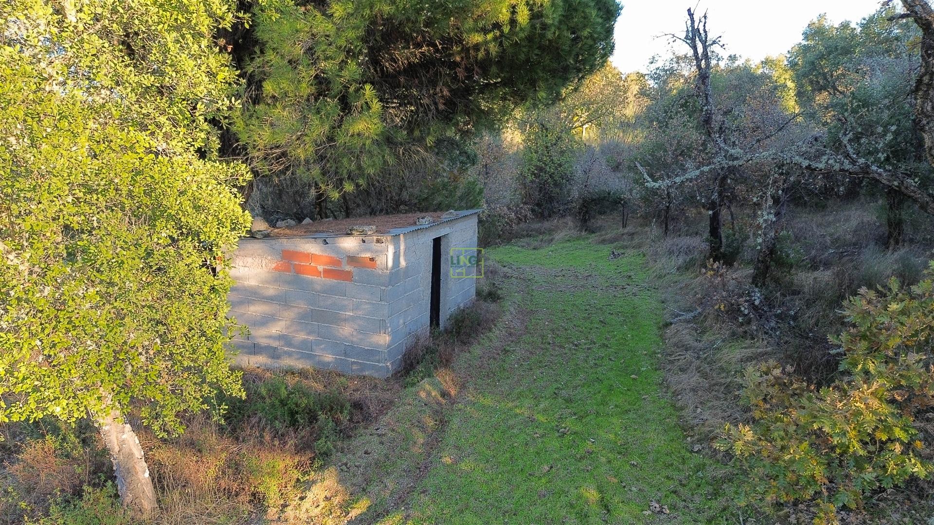 Terreno Rústico com 9400m2 sito em Águas, Penamacor.