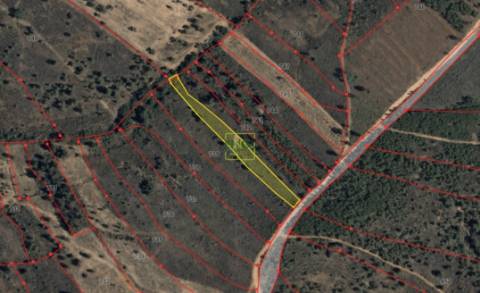 Terreno Rústico - 1750m2 - Florestal - Toulões - Idanha-a-Nova