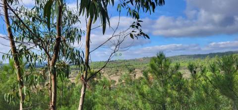 Terreno Rústico - 1750m2 - Florestal - Toulões - Idanha-a-Nova