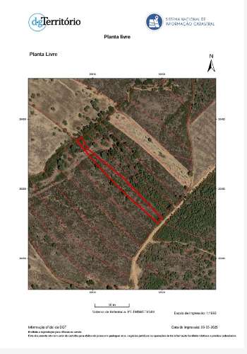 Terreno Rústico - 1750m2 - Florestal - Toulões - Idanha-a-Nova