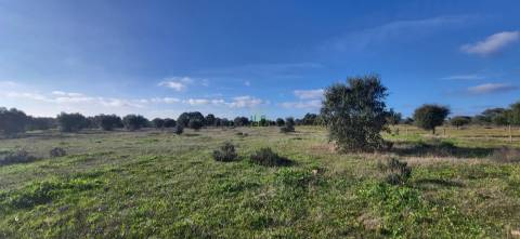 Terreno Rústico - 4250m2 -Toulões - Idanha-a-Nova