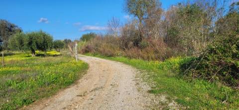 Terreno Rústico - 4250m2 -Toulões - Idanha-a-Nova