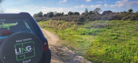 Terreno Rústico - 4250m2 -Toulões - Idanha-a-Nova