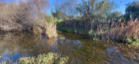 Terreno Rústico - 4250m2 -Toulões - Idanha-a-Nova