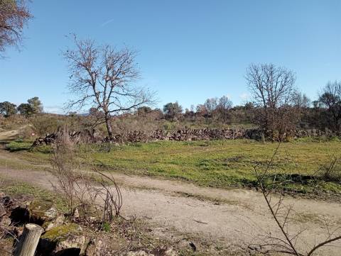 Excelente terreno com 76840m2 situado em Aldeia das Águas, Penamacor.