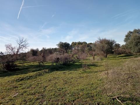 Excelente terreno com 76840m2 situado em Aldeia das Águas, Penamacor.