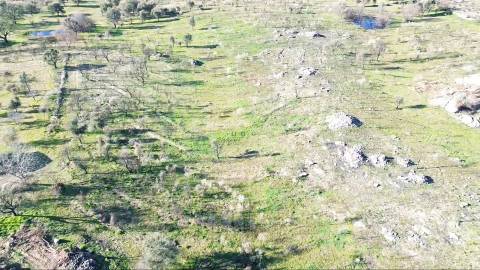 Excelente terreno com 76840m2 situado em Aldeia das Águas, Penamacor.