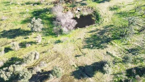 Excelente terreno com 76840m2 situado em Aldeia das Águas, Penamacor.