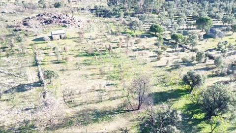 Excelente terreno com 76840m2 situado em Aldeia das Águas, Penamacor.