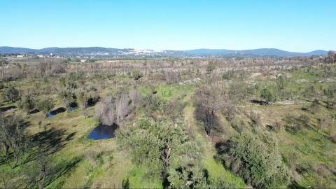 Excelente terreno com 76840m2 situado em Aldeia das Águas, Penamacor.