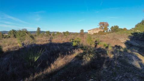 Excelente terreno com 76840m2 situado em Aldeia das Águas, Penamacor.