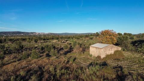 Excelente terreno com 76840m2 situado em Aldeia das Águas, Penamacor.