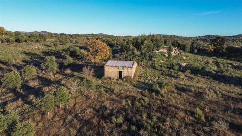 Excelente terreno com 76840m2 situado em Aldeia das Águas, Penamacor.