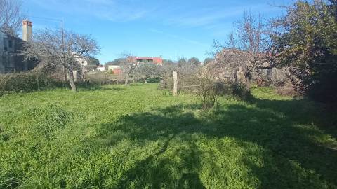Propriedade Mista em Aldeia do Bispo.