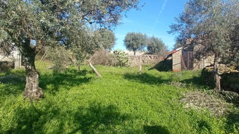 Propriedade Mista em Aldeia do Bispo.