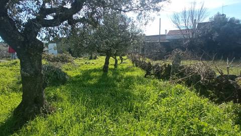 Propriedade Mista em Aldeia do Bispo.