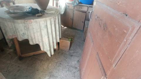 Propriedade Mista em Aldeia do Bispo.