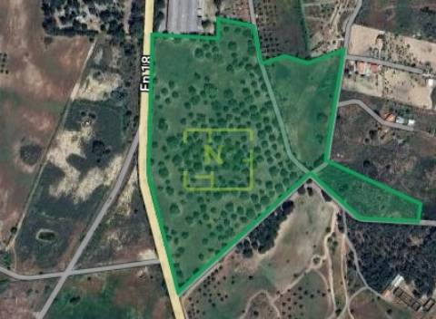 Quinta com casa e poço - 12,69ha - Quinta dos Carvalhos - Castelo Branco