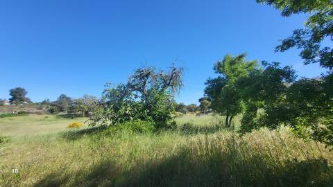 Quinta com casa e poço - 12,69ha - Quinta dos Carvalhos - Castelo Branco