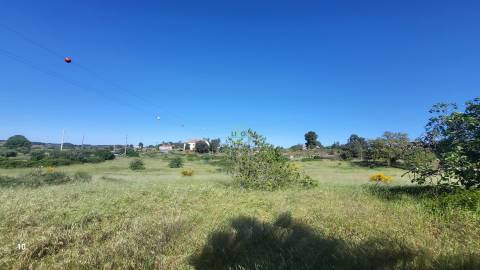 Quinta com casa e poço - 12,69ha - Quinta dos Carvalhos - Castelo Branco