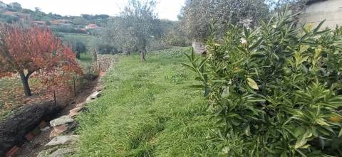 Moradia em reconstrução com jardim