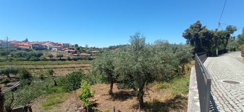 Moradia em reconstrução com jardim