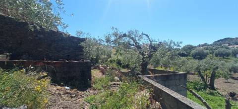 Moradia em reconstrução com jardim