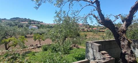 Moradia em reconstrução com jardim