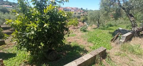 Moradia em reconstrução com jardim