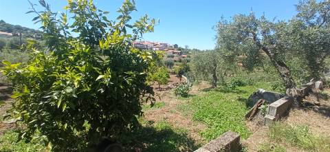 Moradia em reconstrução com jardim