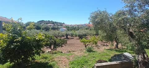 Moradia em reconstrução com jardim