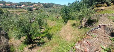 Moradia em reconstrução com jardim