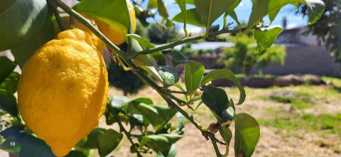 Moradia Centenária para recuperar - T8 - Quintal - Póvoa de Rio de Moinhos