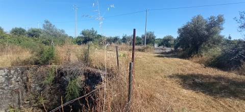 Terreno rústico em regadio no Ladoeiro, Idanha a Nova