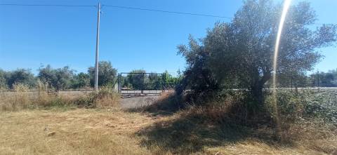 Terreno rústico em regadio no Ladoeiro, Idanha a Nova