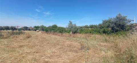 Terreno rústico em regadio no Ladoeiro, Idanha a Nova
