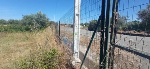 Terreno rústico em regadio no Ladoeiro, Idanha a Nova