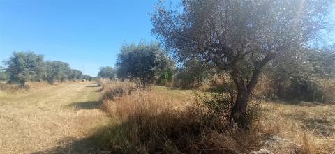 Terreno rústico em regadio no Ladoeiro, Idanha a Nova