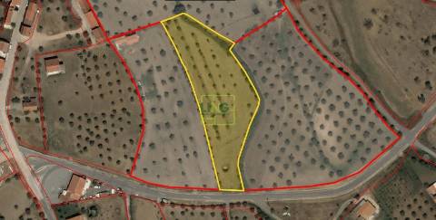 Terreno rústico em regadio no Ladoeiro, Idanha a Nova