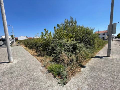 Terreno Para Construção  Venda em Castelo Branco,Castelo Branco
