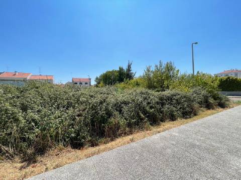 Terreno Para Construção  Venda em Castelo Branco,Castelo Branco